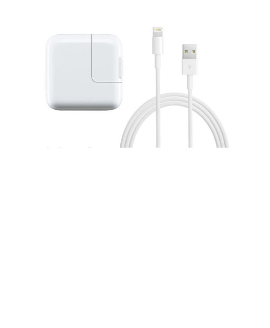 Cargador IPad 12W